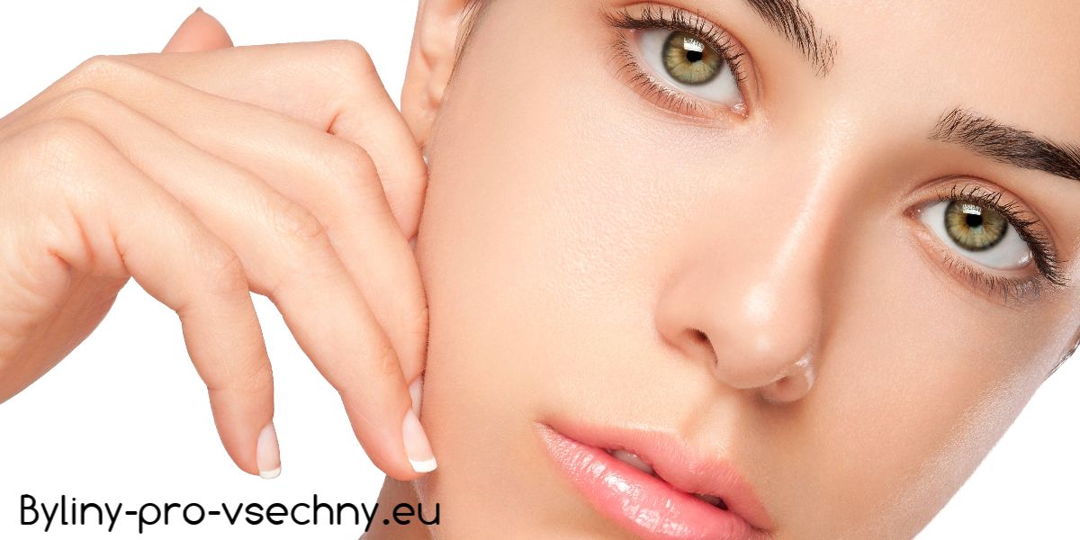 byliny-pro-vsechny.eu